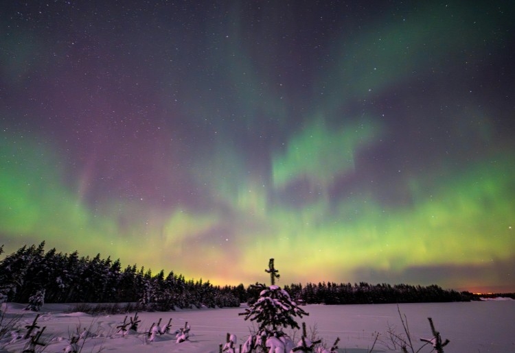 Aurora Boreal - Lendas de Inverno na Lapônia