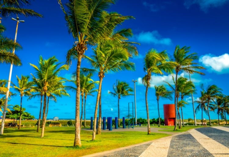 Aracaju e Cânion Xingó